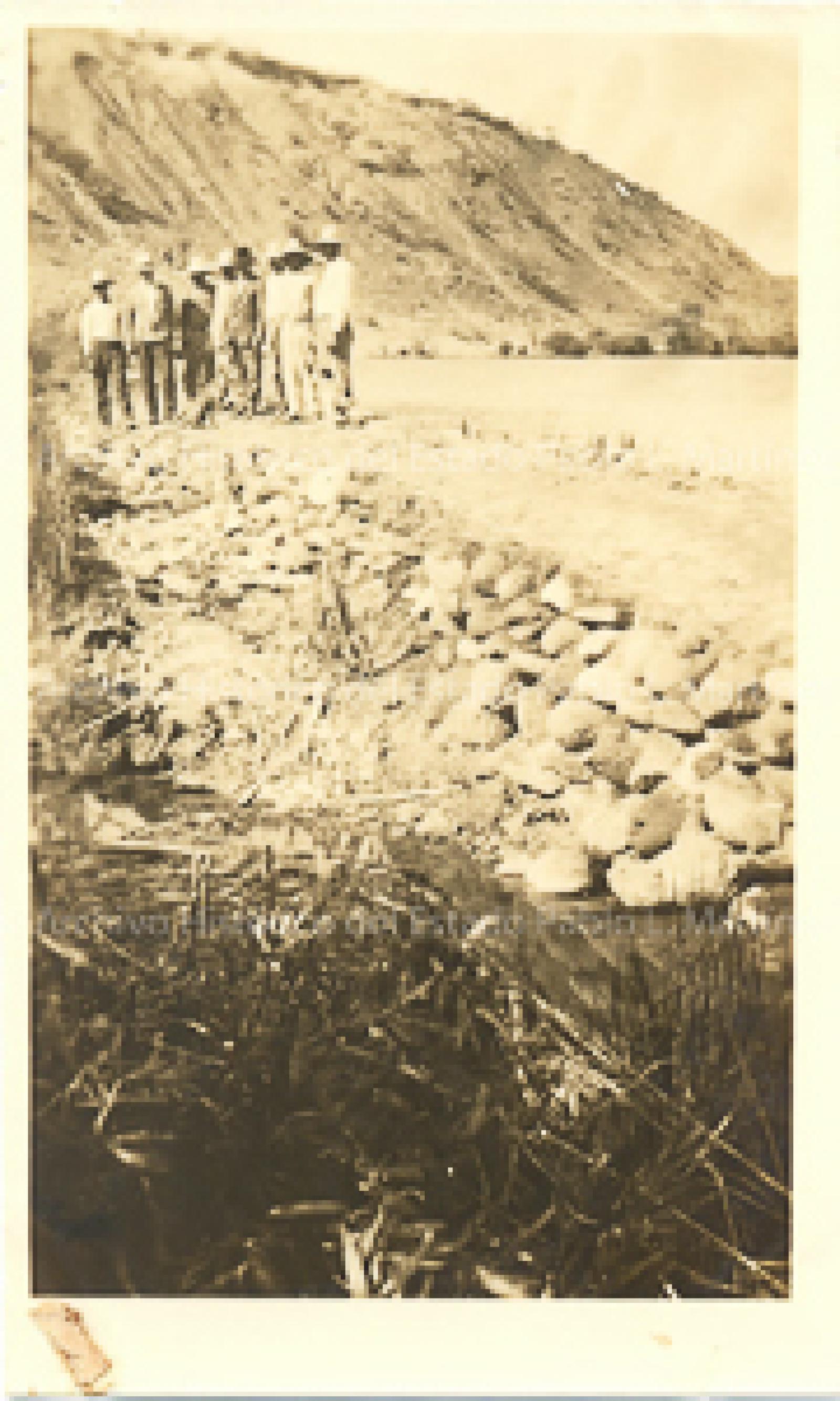 Zanja para encauzamiento de las aguas del río La Purísima.